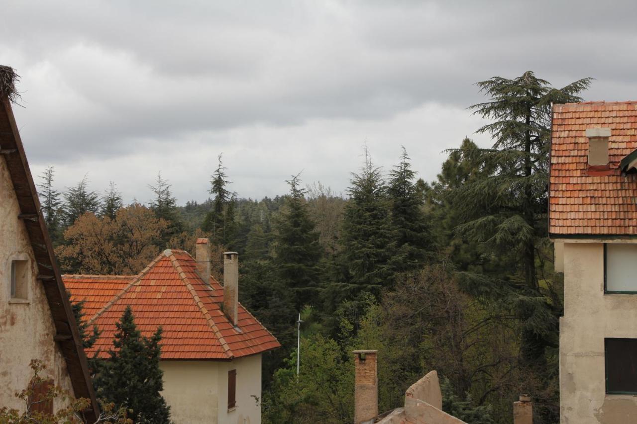 Appartement Amira Ifrane イフレン エクステリア 写真