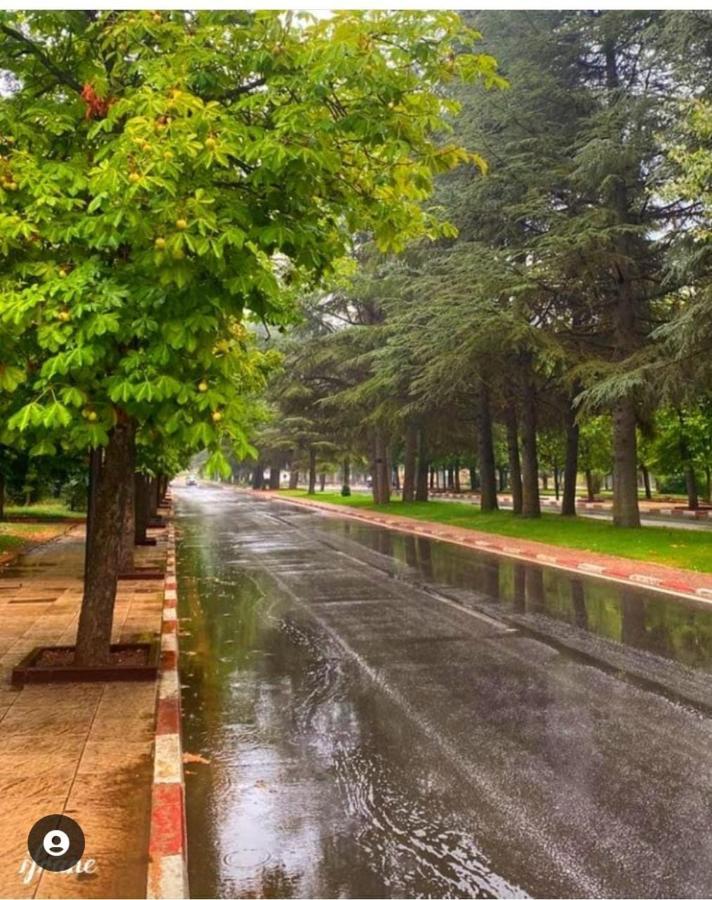 Appartement Amira Ifrane イフレン エクステリア 写真